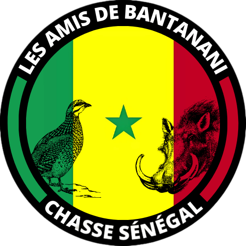 LES AMIS DE BANTANANI